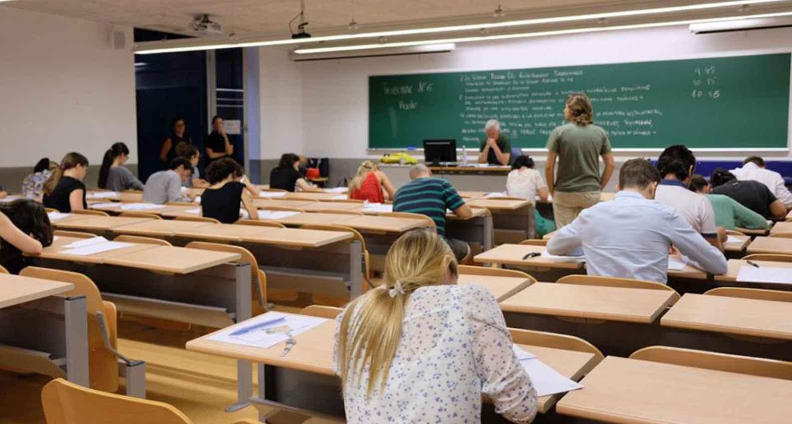 compañeros en oposiciones estudiando juntos compañeros en oposiciones estudiando juntos