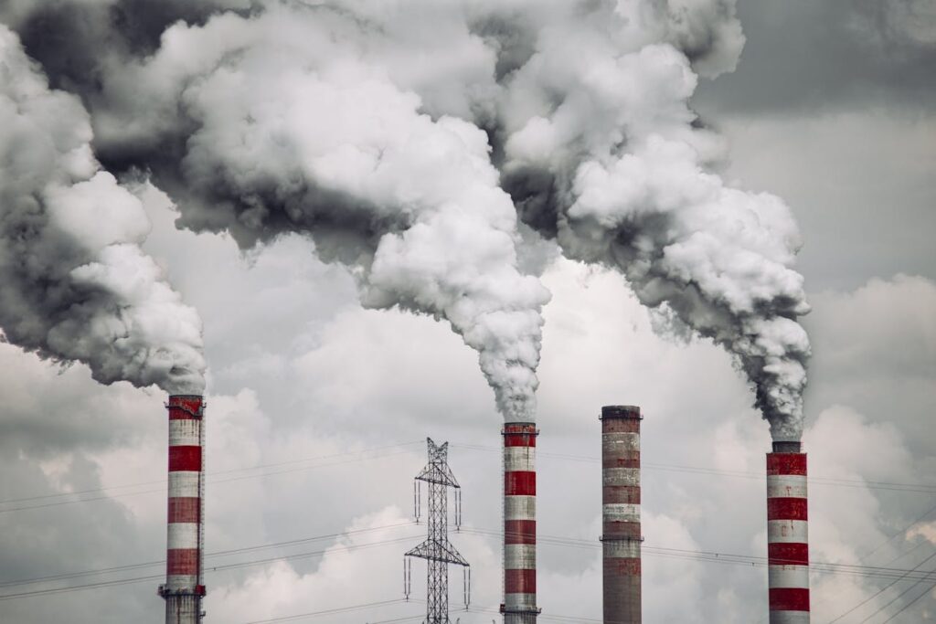 publicistas permiten el greenwashing