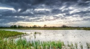 Educación ambiental: 5 competencias básicas del educador