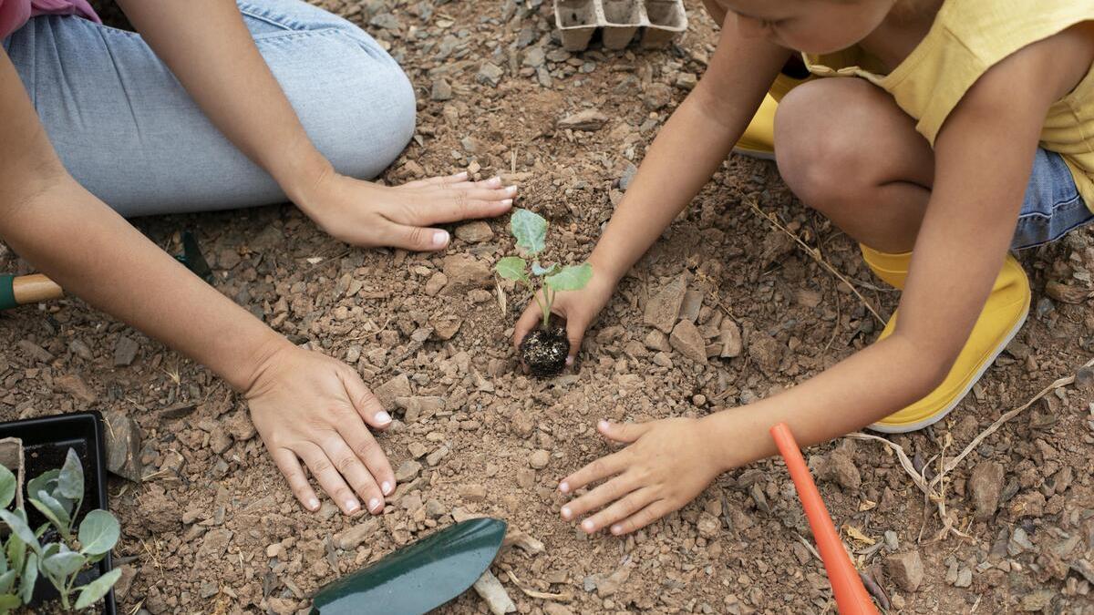 actividades ambientales en centros educativos
