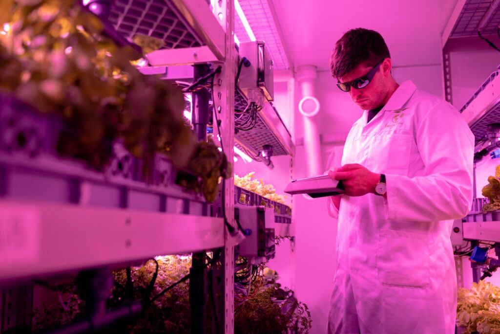 causas del calentamiento global
