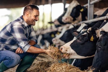 Luis Bautista Garrido Palacio | Guía Maestra de Nutrición
