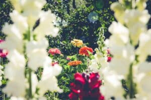 Trabajos en la naturaleza: seis ideas para profesionales