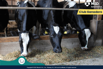 Luis Alejandro Sampayo Cabada | Salud en el Hato