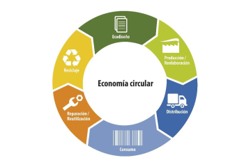 Carlos Alessandro Cestari Infantini | Economía Circular