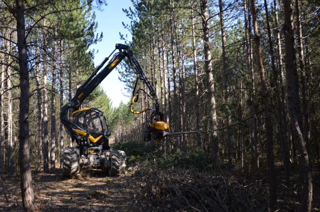 qué es el extractivismo social