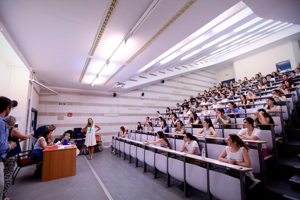 Distribución de plazas oposiciones educación Andalucía