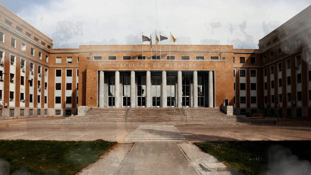 Motivación para volver a la universidad después de los 40