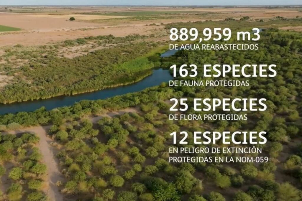 HEINEKEN México