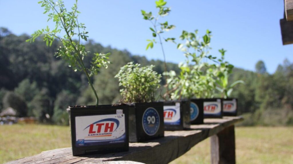 Eco Jornadas LTH