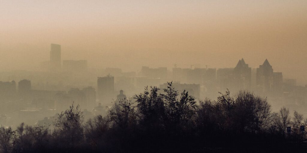 consecuencias de la contaminación