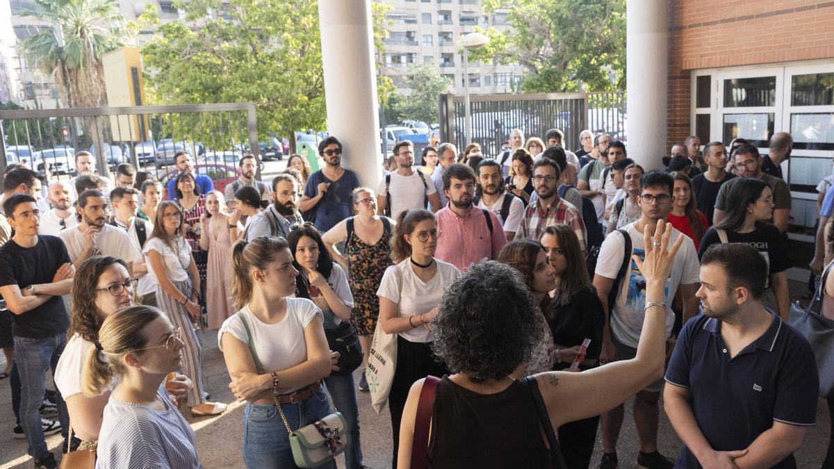 Distribución de plazas docentes por cuerpos