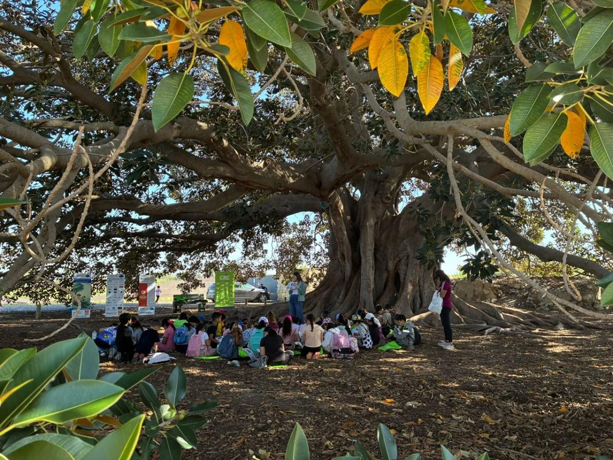 Actividad de Semana de la Educación Ambiental