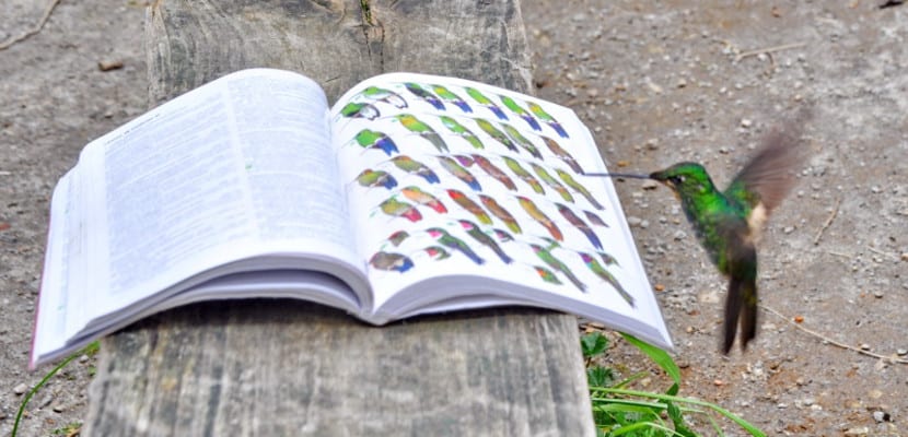 rendimiento en los estudios