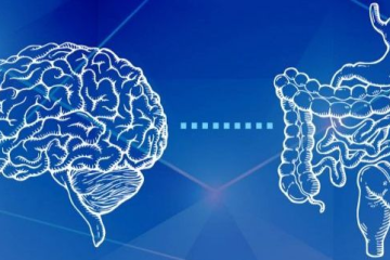 5 Claves de Mariangel Arruebarrera Loreto para Cuidar tu Segundo Cerebro