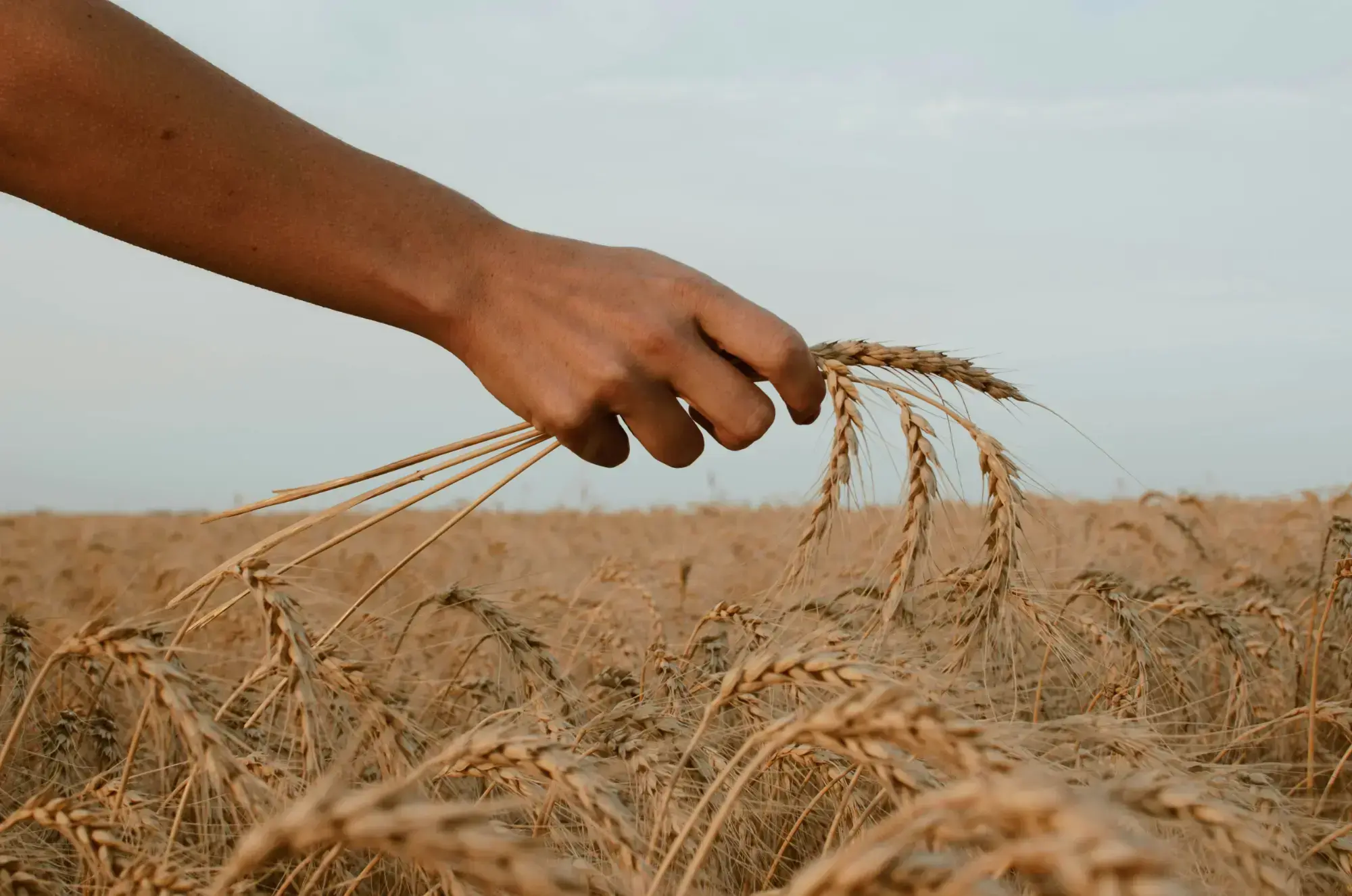 Campeonato europeo Agrochallenge para representar a España
