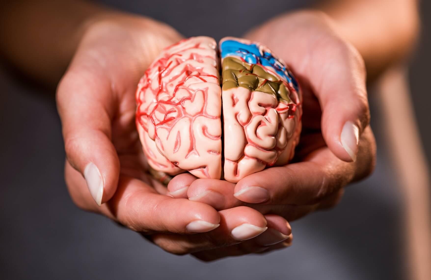 Hábitos diarios para el cerebro
