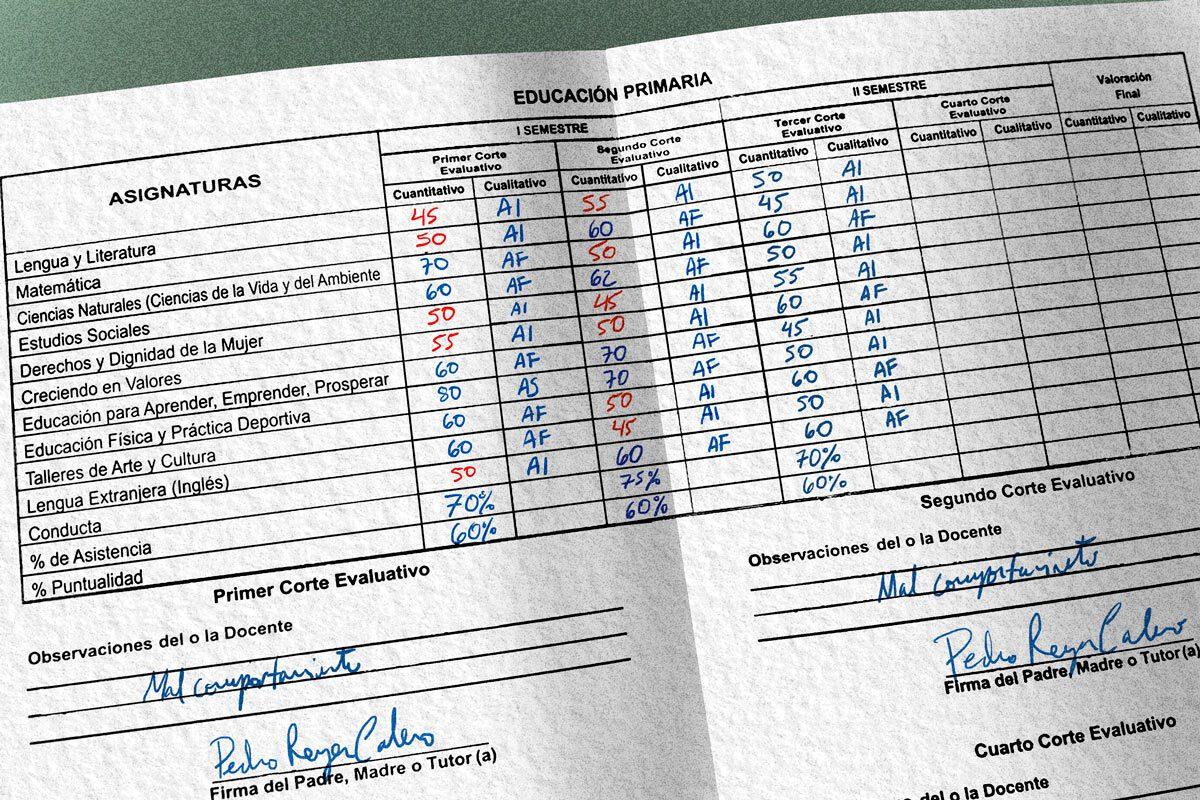 Notas y rendimiento escolar