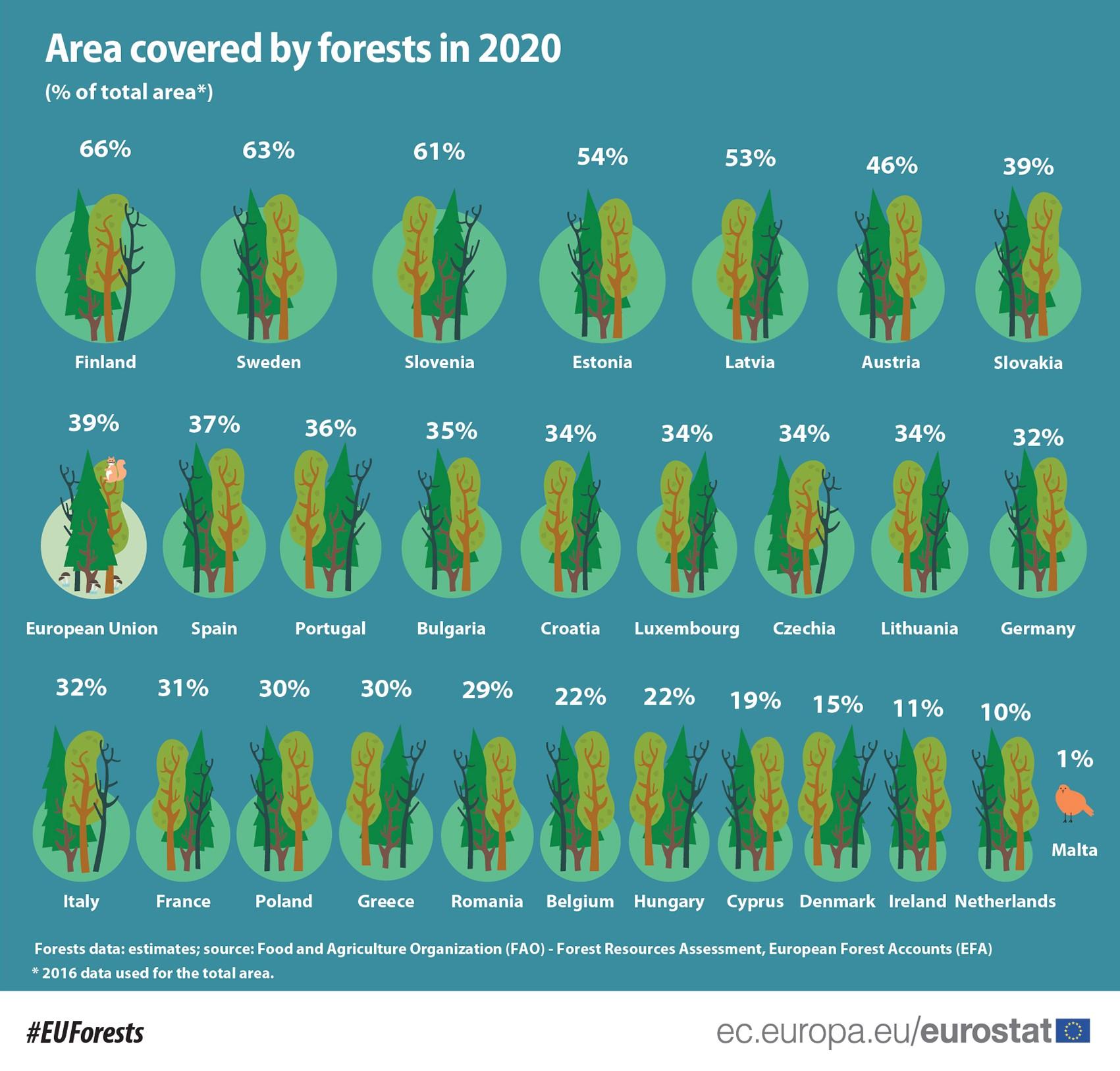 Gestión forestal y estructura de los bosques europeos