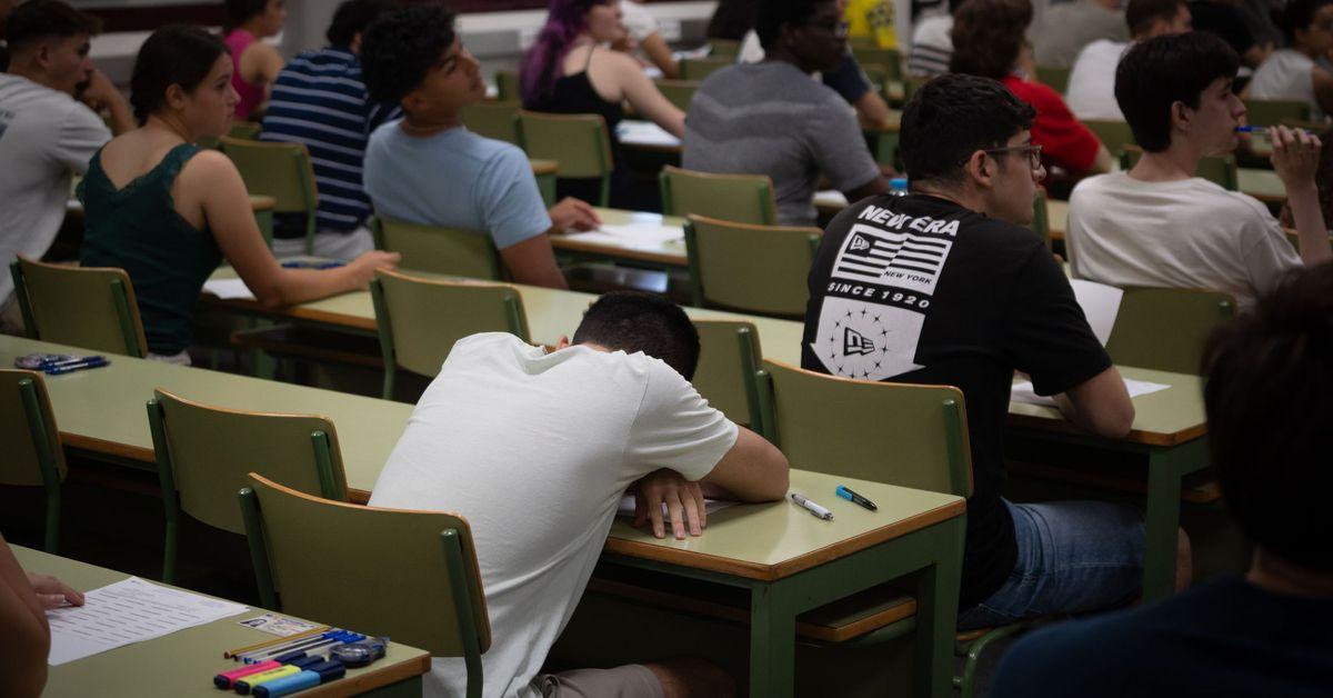 Estudiante organizando apuntes