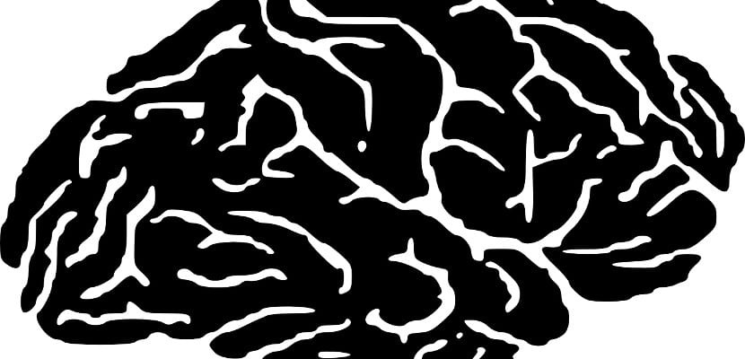 Cerebro y salud cerebral
