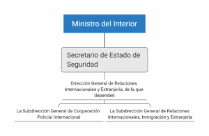 dirección general de relaciones internacionales