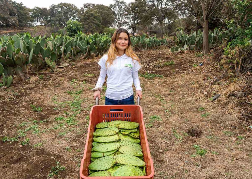 RSE de El Farolito