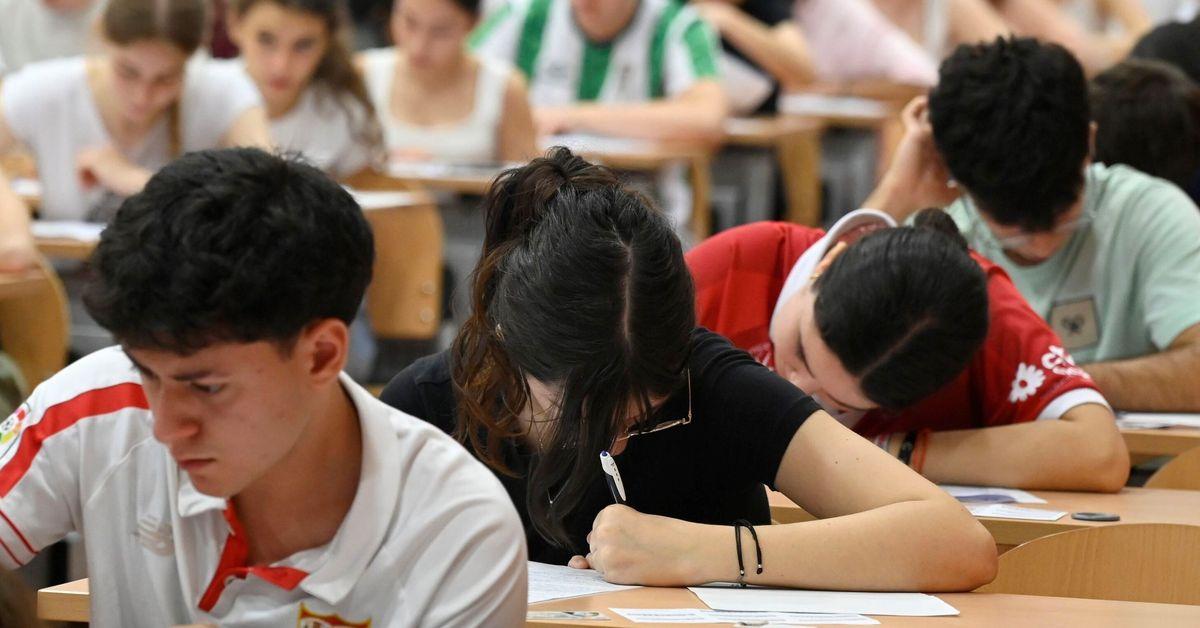 Estudiante repasando apuntes antes de la prueba