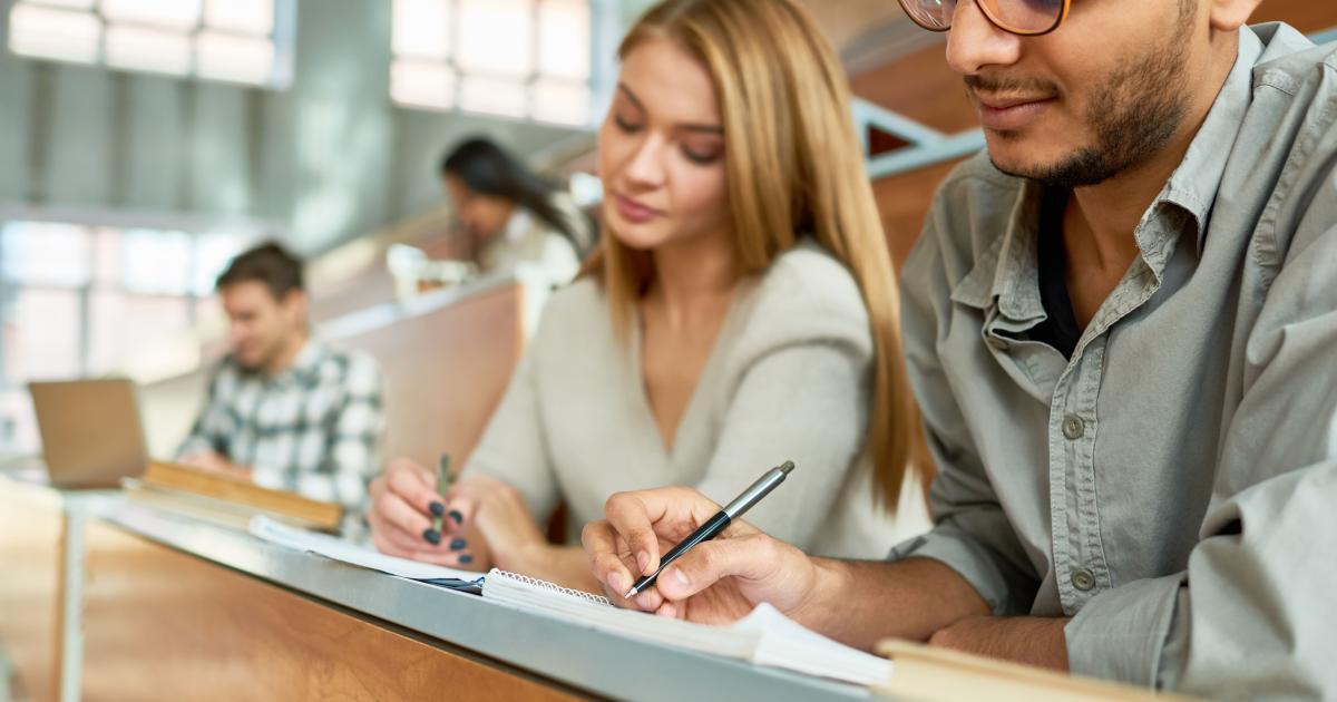 organización del estudio