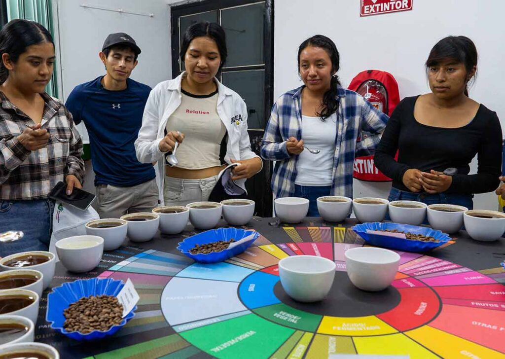 jóvenes caficultores