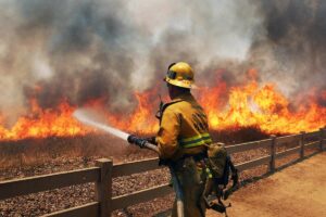 figura del bombero forestal